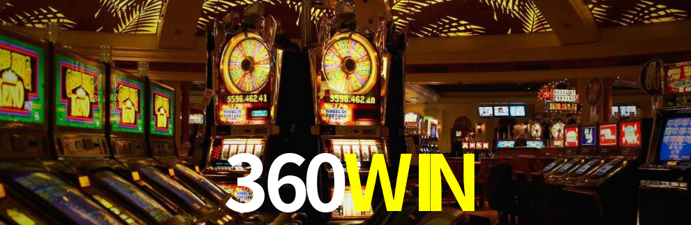 360WIN